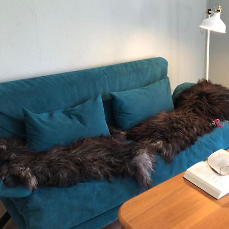 Ferienwohnung Elbsegler 블렉케데 외부 사진