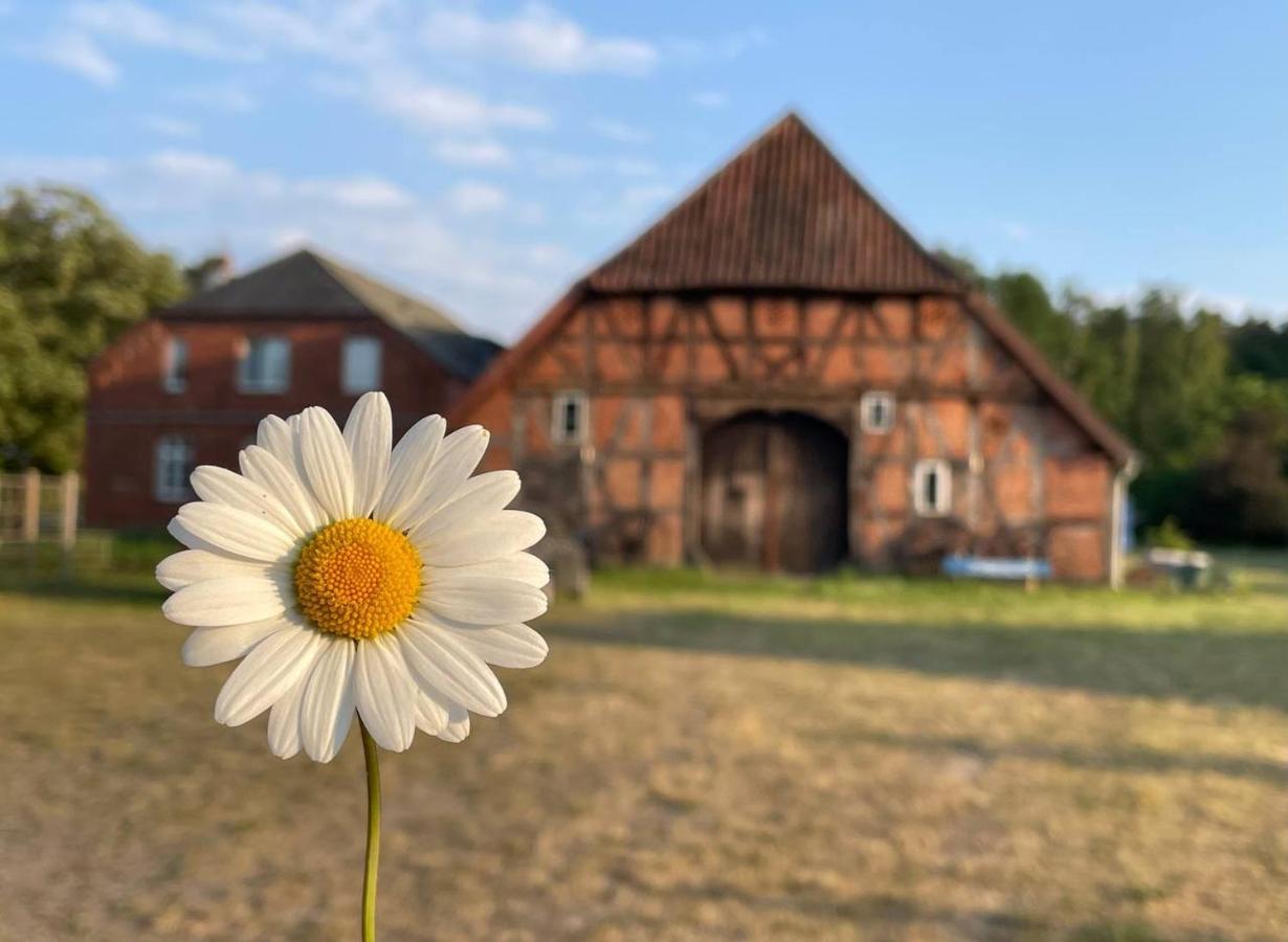 Ferienwohnung Elbsegler 블렉케데 외부 사진