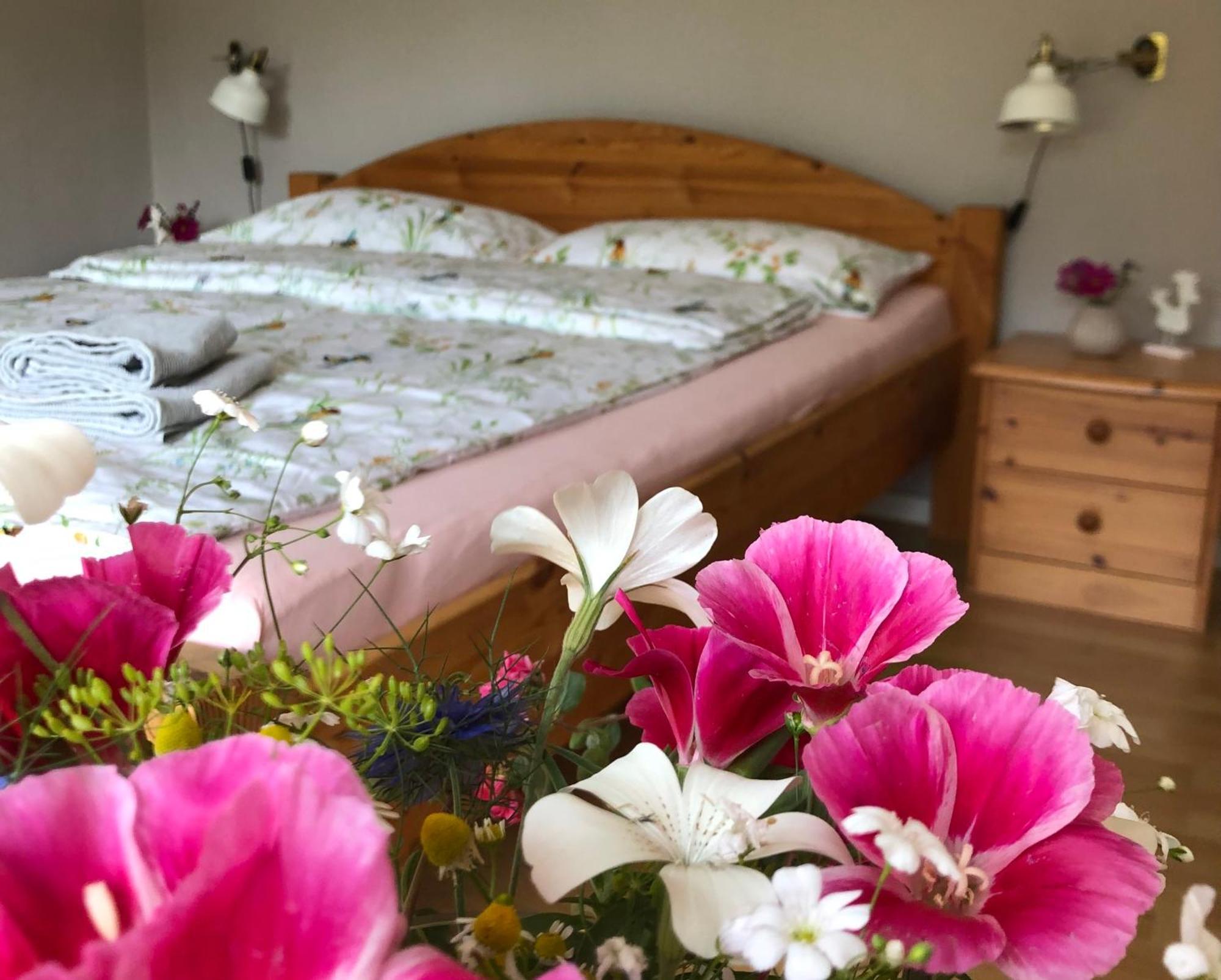 Ferienwohnung Elbsegler 블렉케데 외부 사진