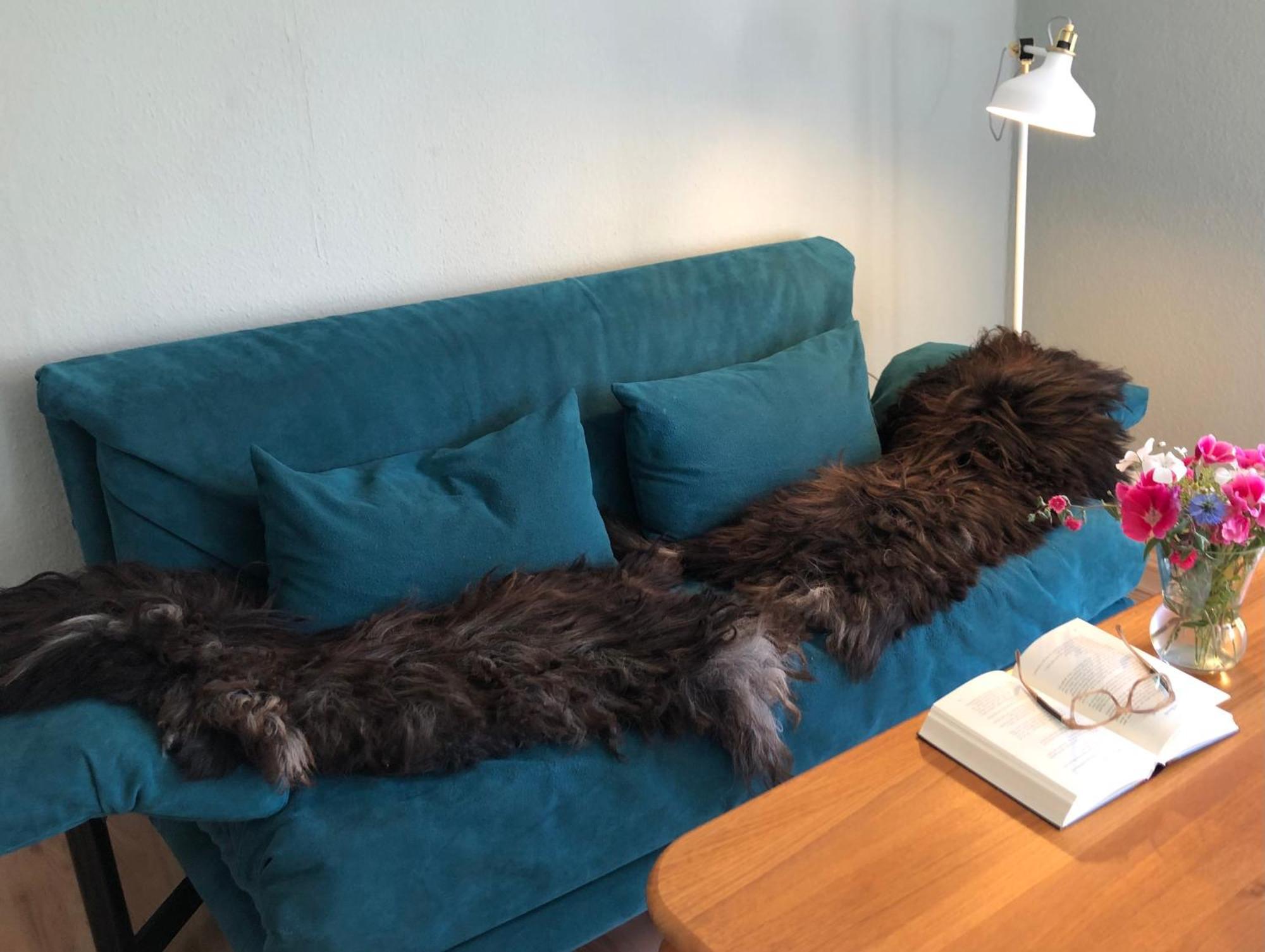 Ferienwohnung Elbsegler 블렉케데 외부 사진
