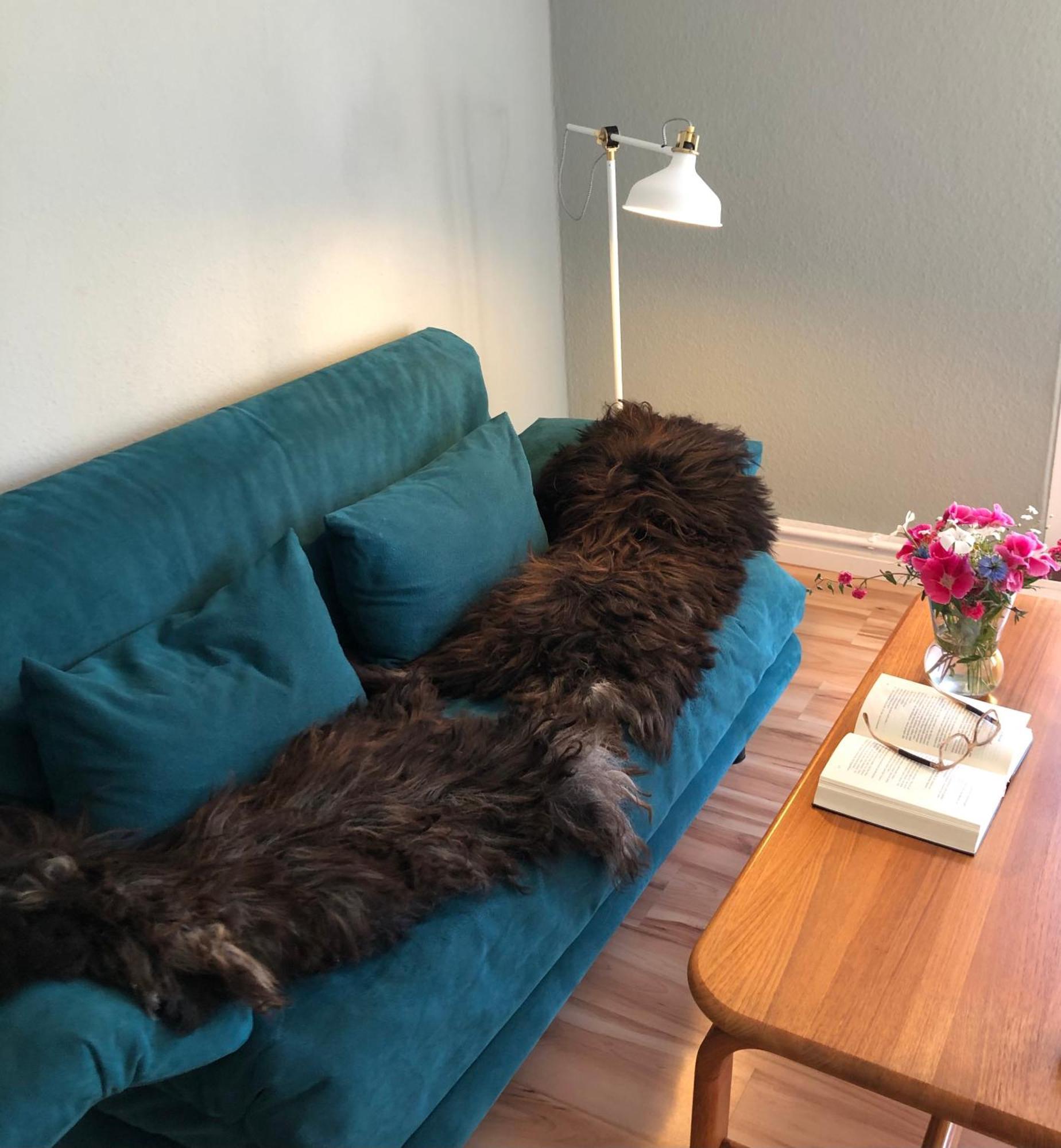 Ferienwohnung Elbsegler 블렉케데 외부 사진