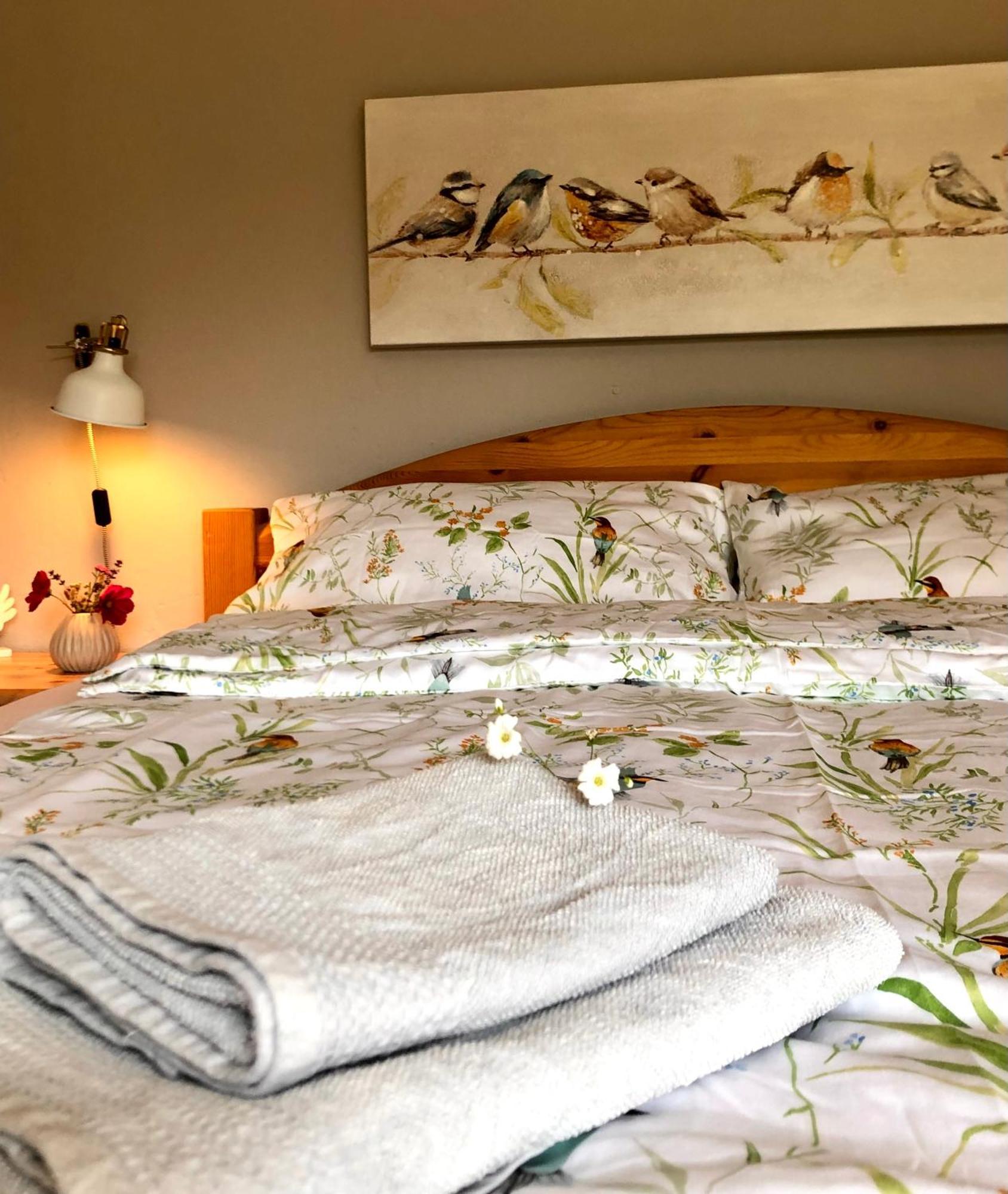 Ferienwohnung Elbsegler 블렉케데 외부 사진