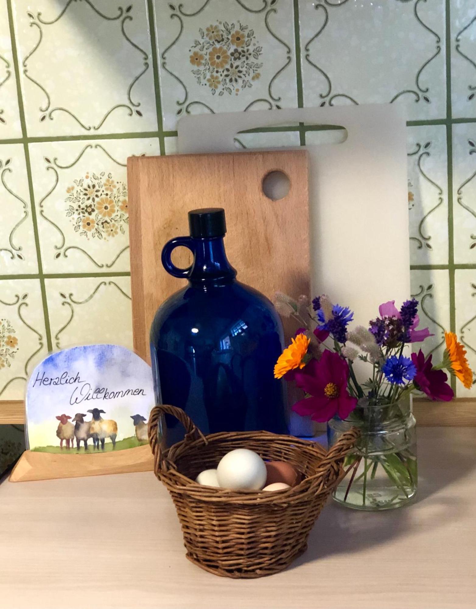 Ferienwohnung Elbsegler 블렉케데 외부 사진